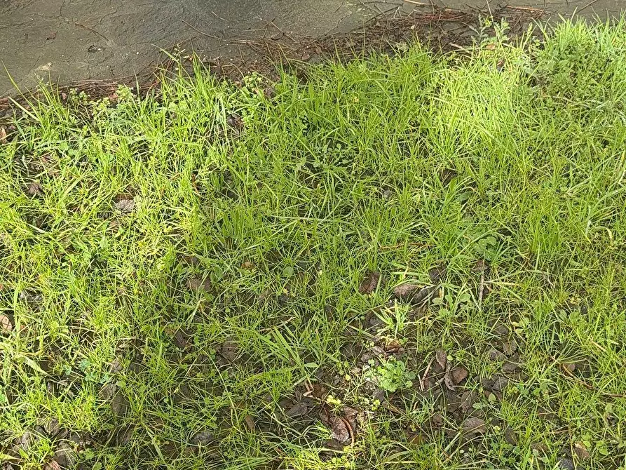 Immagine 6 di Porzione di casa in vendita  a Camaiore