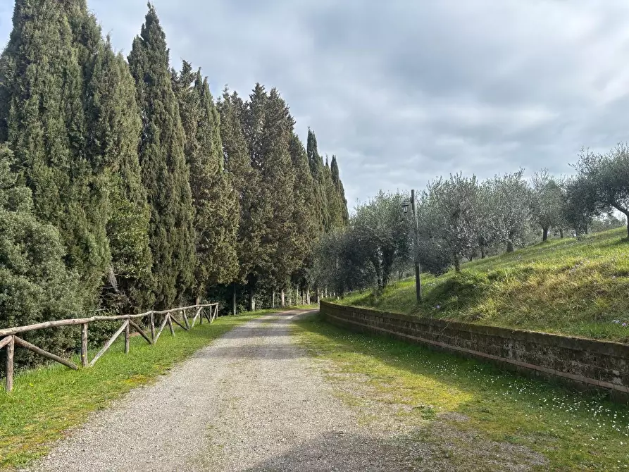Immagine 24 di Casa colonica in vendita  a Palaia