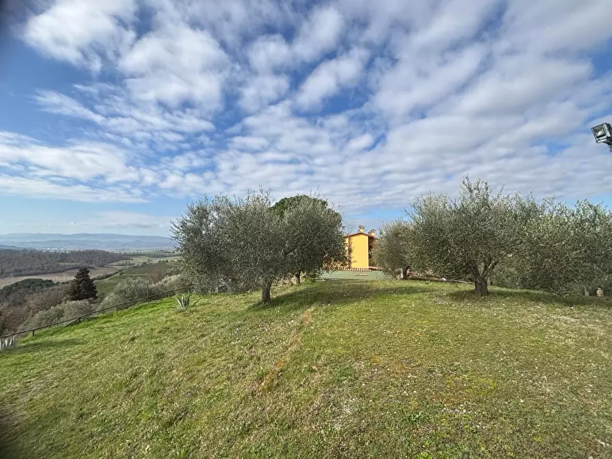 Immagine 27 di Casa colonica in vendita  a Palaia