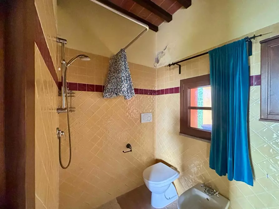 Immagine 20 di Casa colonica in vendita  a Palaia