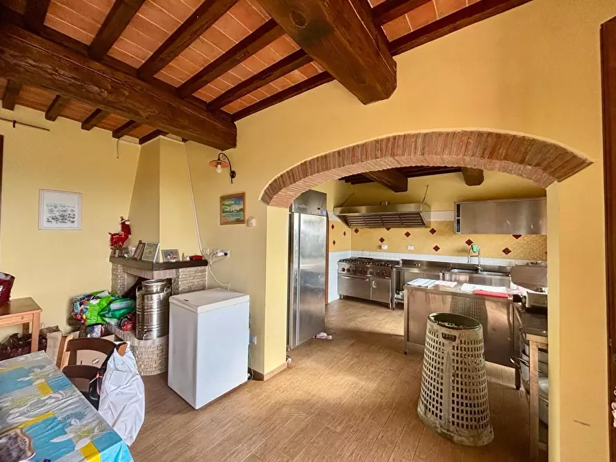 Immagine 10 di Casa colonica in vendita  a Palaia