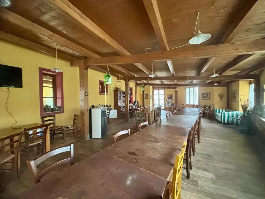 Immagine 7 di Casa colonica in vendita  a Palaia