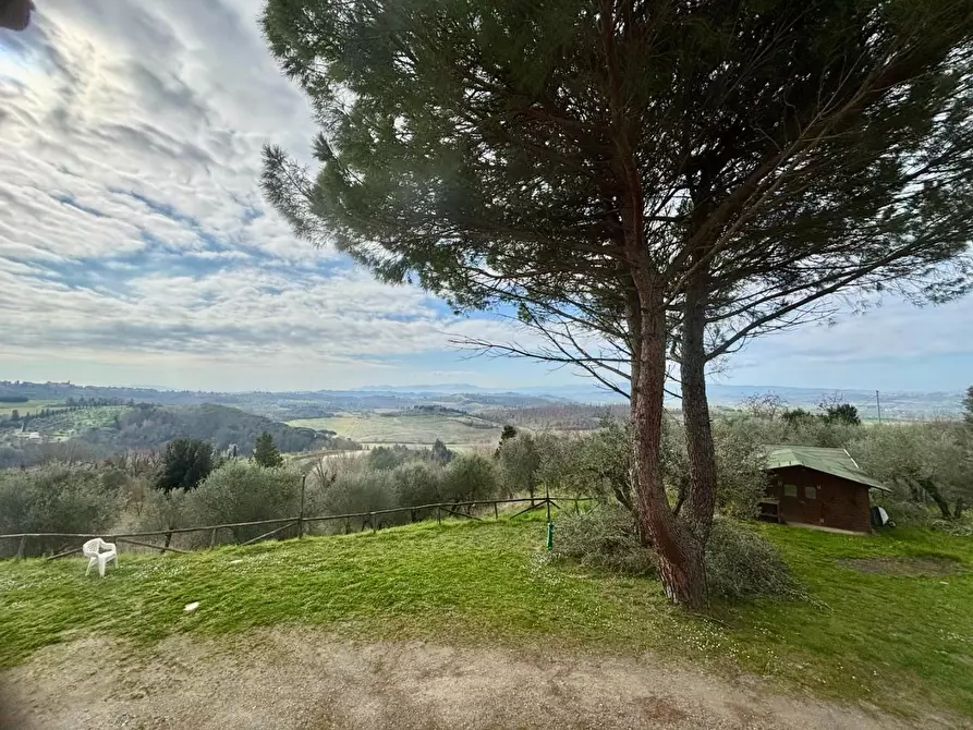 Immagine 26 di Casa colonica in vendita  a Palaia