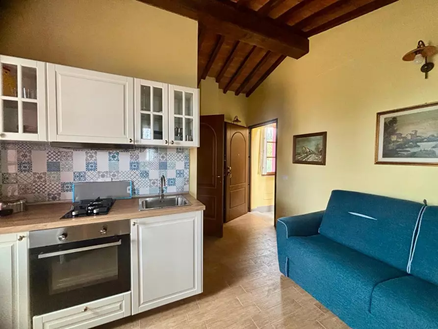 Immagine 11 di Casa colonica in vendita  a Palaia