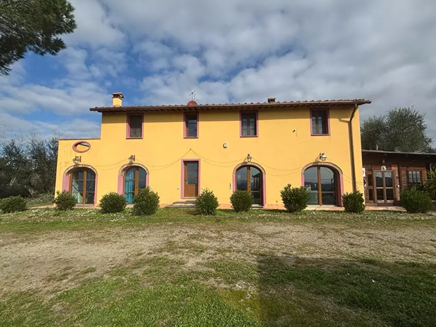 Immagine 6 di Casa colonica in vendita  a Palaia