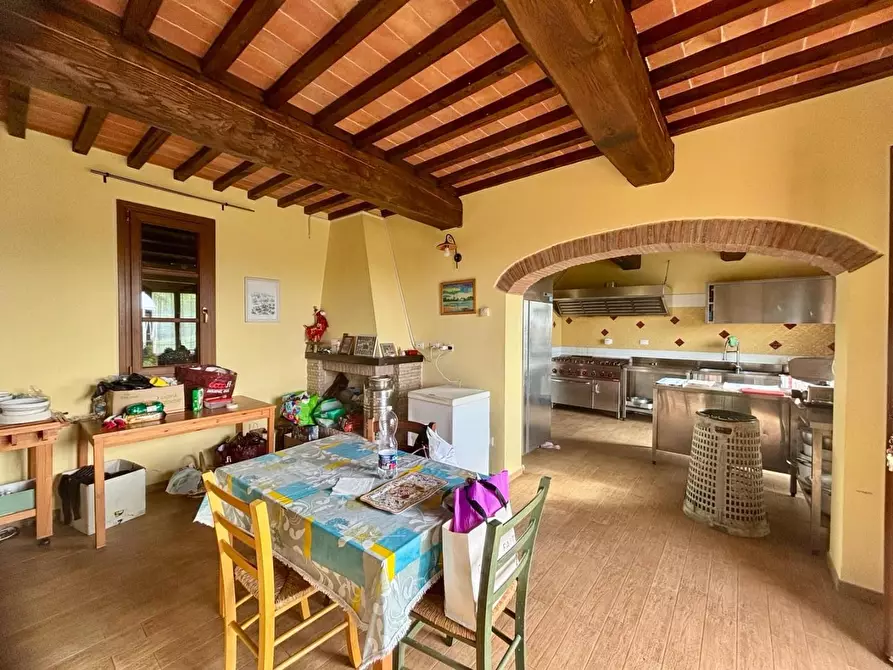 Immagine 13 di Casa colonica in vendita  a Palaia