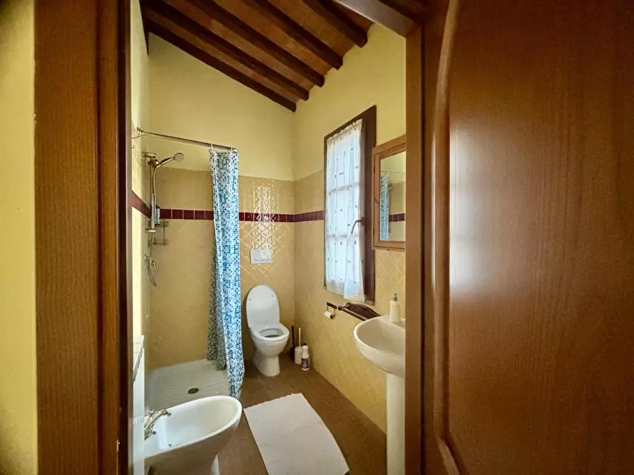 Immagine 28 di Casa colonica in vendita  a Palaia