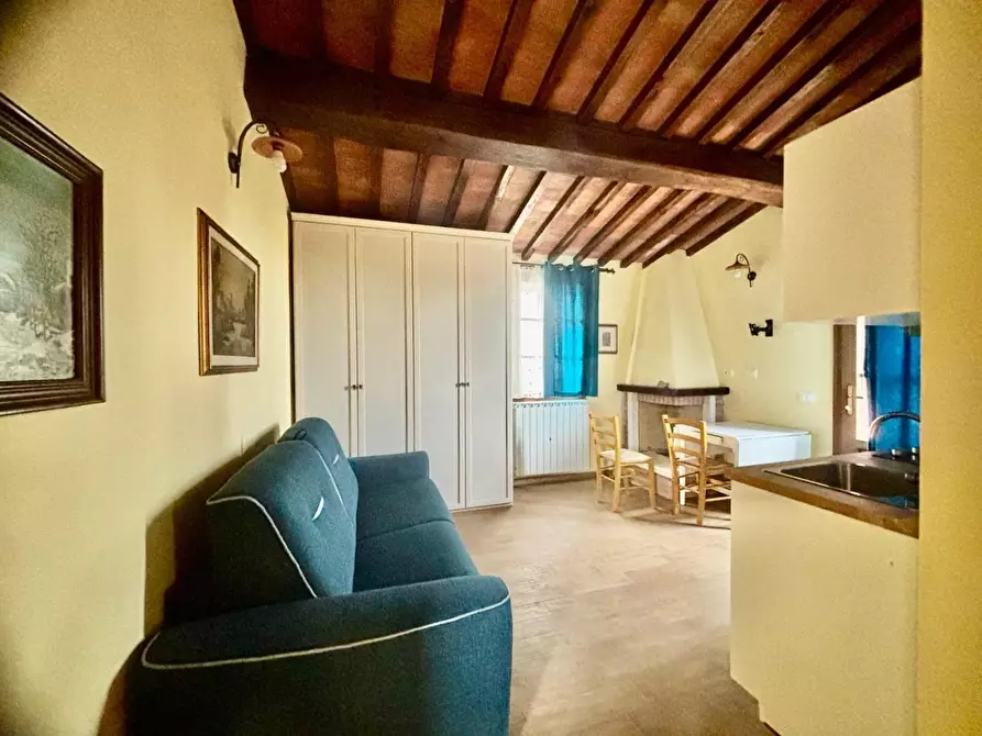 Immagine 14 di Casa colonica in vendita  a Palaia