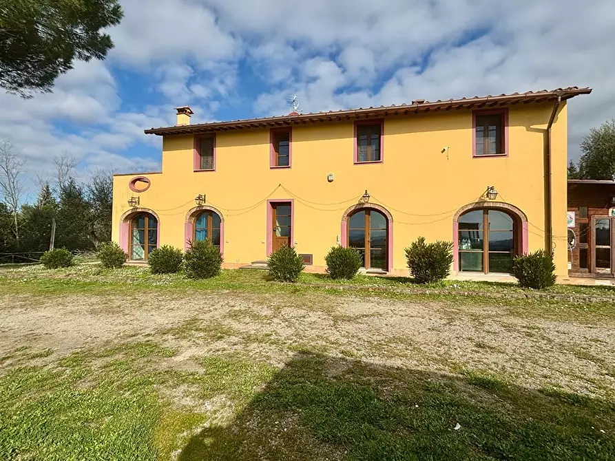 Immagine 2 di Casa colonica in vendita  a Palaia