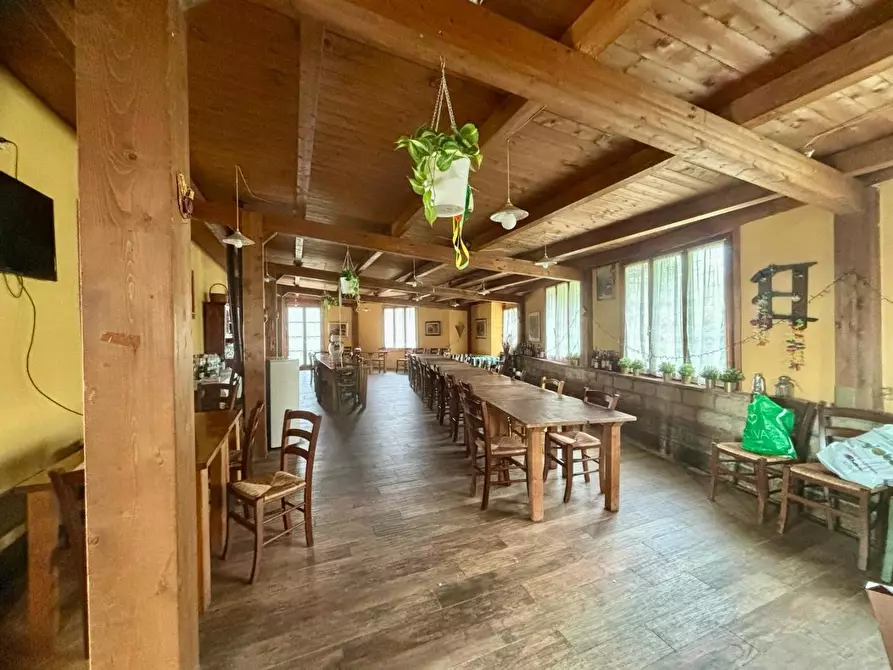 Immagine 8 di Casa colonica in vendita  a Palaia