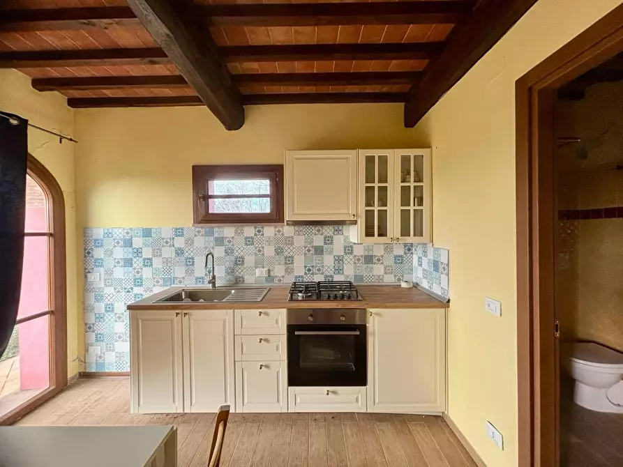 Immagine 19 di Casa colonica in vendita  a Palaia