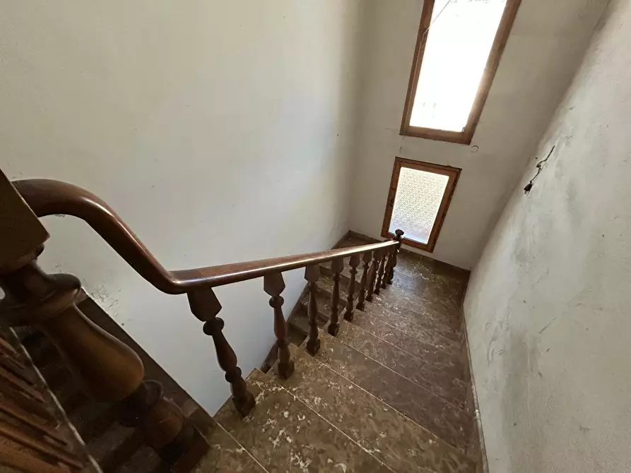 Immagine 34 di Attività artigianale in vendita  a Capraia E Limite