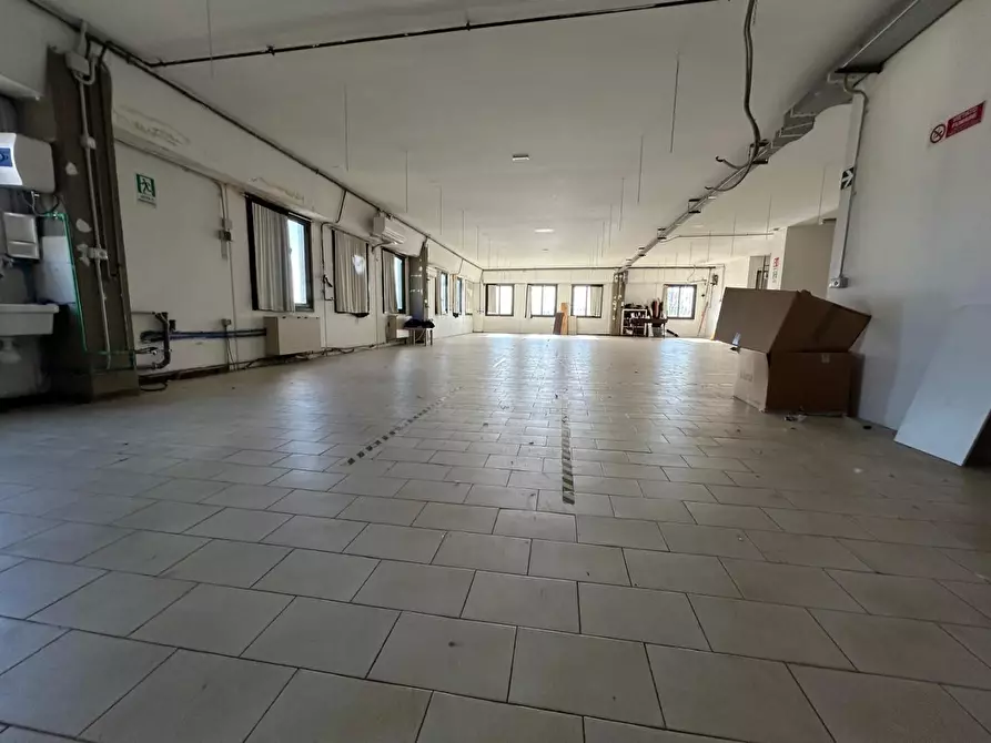 Immagine 4 di Attività artigianale in vendita  a Capraia E Limite