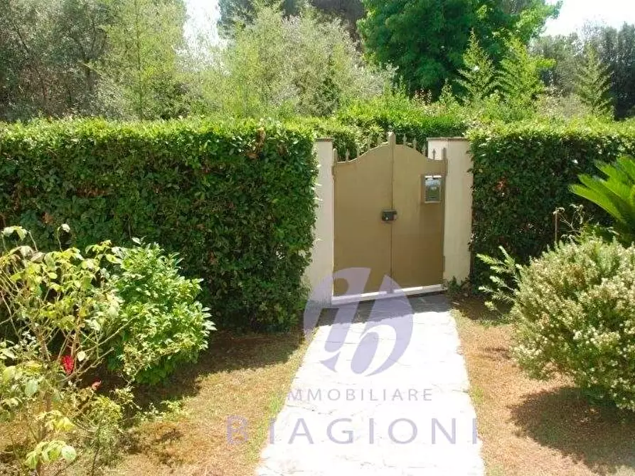 Immagine 4 di Appartamento in vendita  a Massa