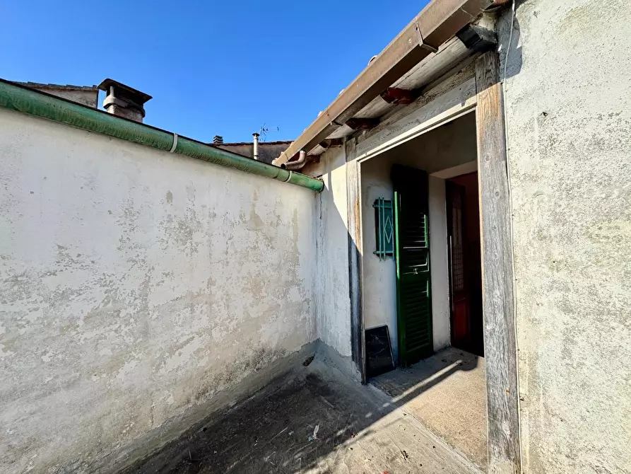 Immagine 12 di Terratetto in vendita  a Pisa