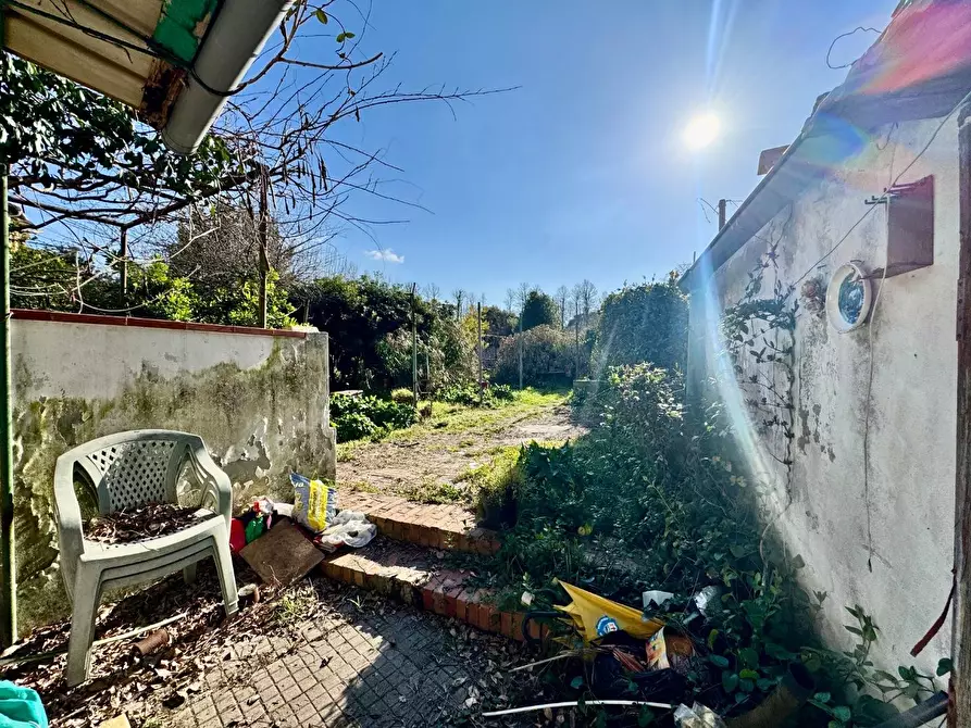 Immagine 6 di Terratetto in vendita  a Pisa