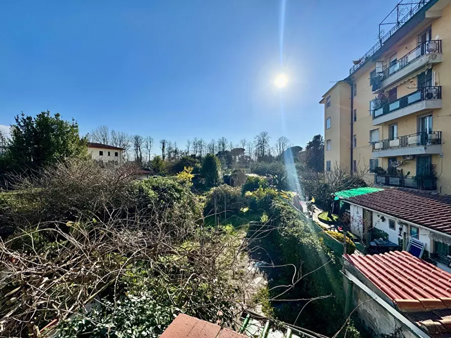 Immagine 9 di Terratetto in vendita  a Pisa