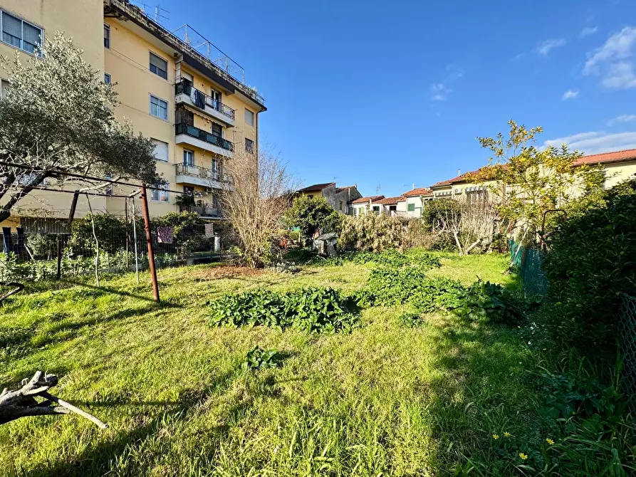 Immagine 18 di Terratetto in vendita  a Pisa