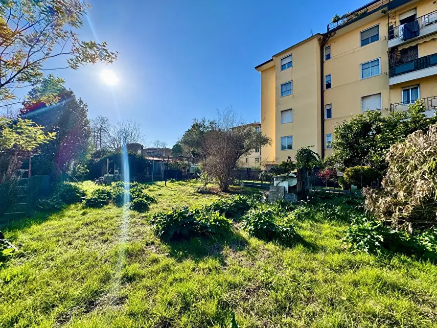 Immagine 17 di Terratetto in vendita  a Pisa