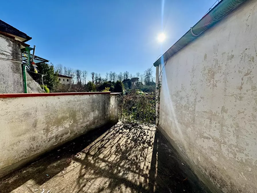 Immagine 11 di Terratetto in vendita  a Pisa