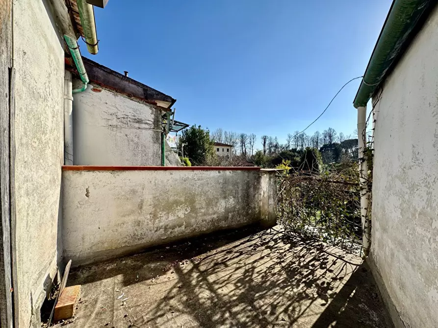 Immagine 10 di Terratetto in vendita  a Pisa