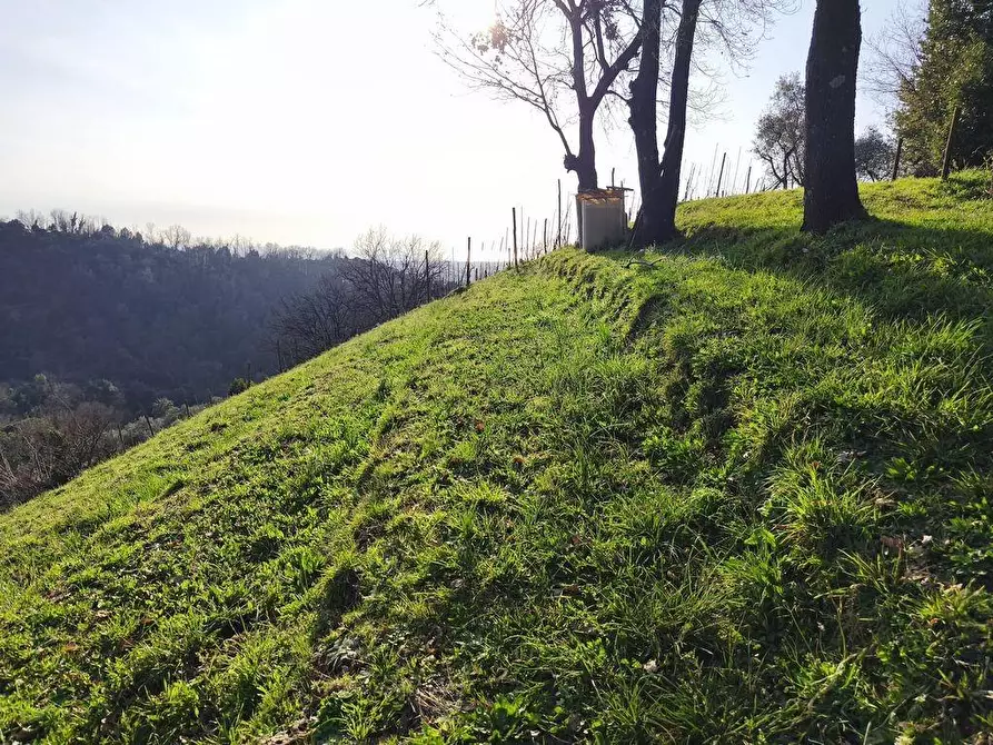 Immagine 19 di Casa semindipendente in vendita  a Carrara