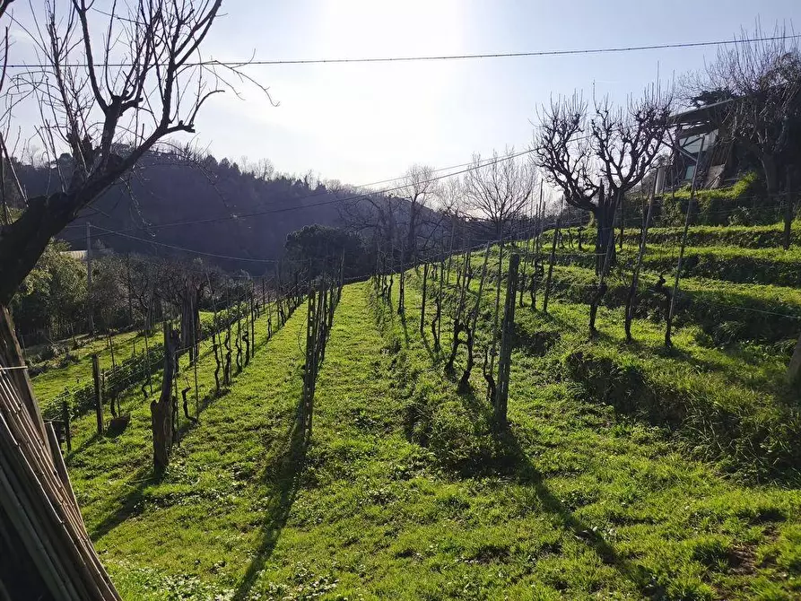Immagine 1 di Casa semindipendente in vendita  a Carrara