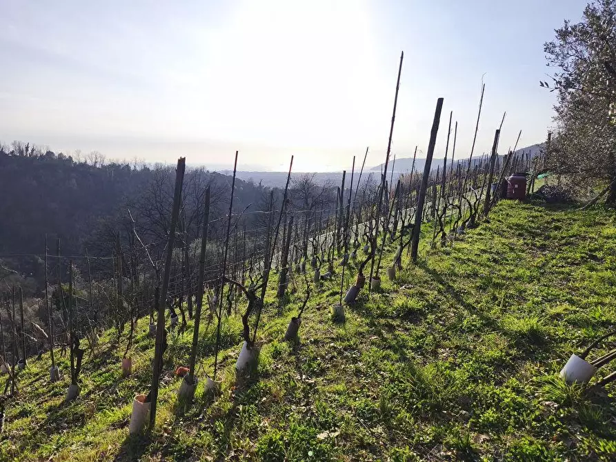 Immagine 20 di Casa semindipendente in vendita  a Carrara