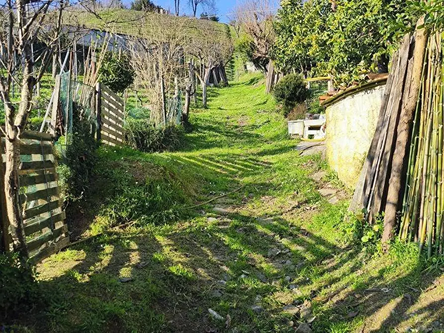 Immagine 3 di Casa semindipendente in vendita  a Carrara
