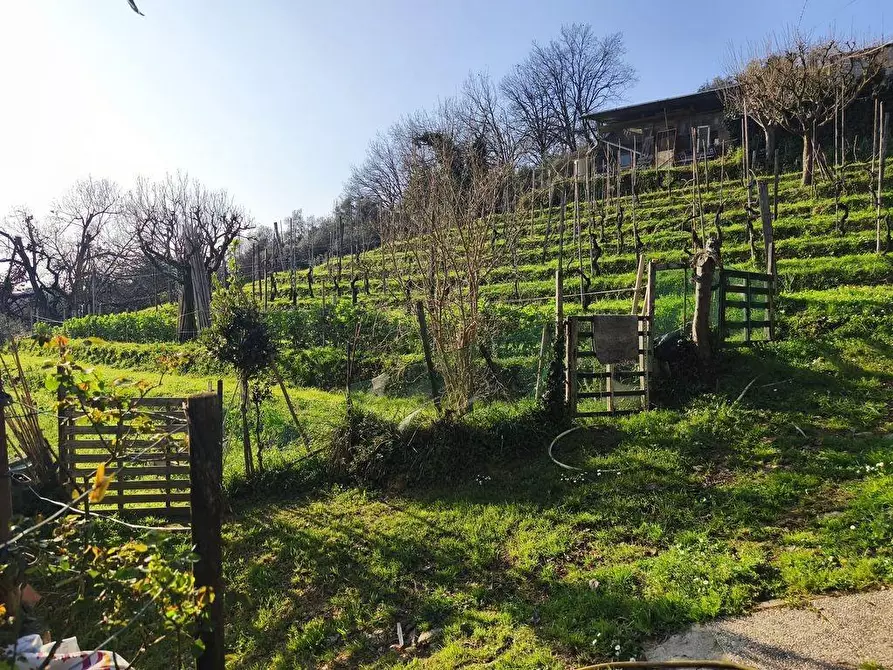 Immagine 2 di Casa semindipendente in vendita  a Carrara