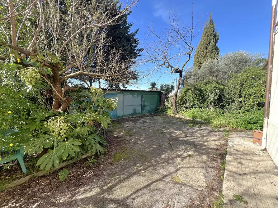 Immagine 30 di Casa bifamiliare in vendita  a Calci