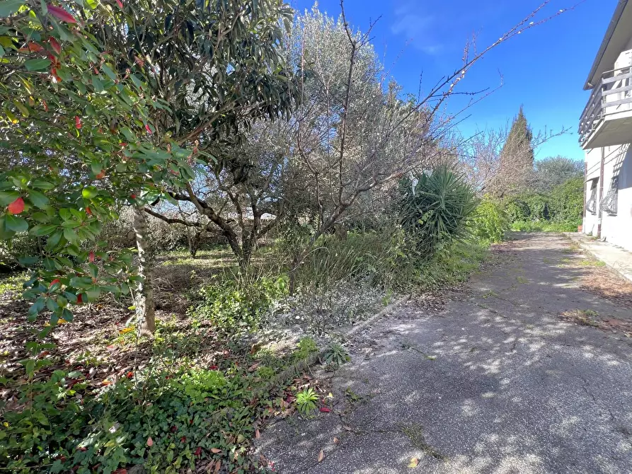 Immagine 27 di Casa bifamiliare in vendita  a Calci