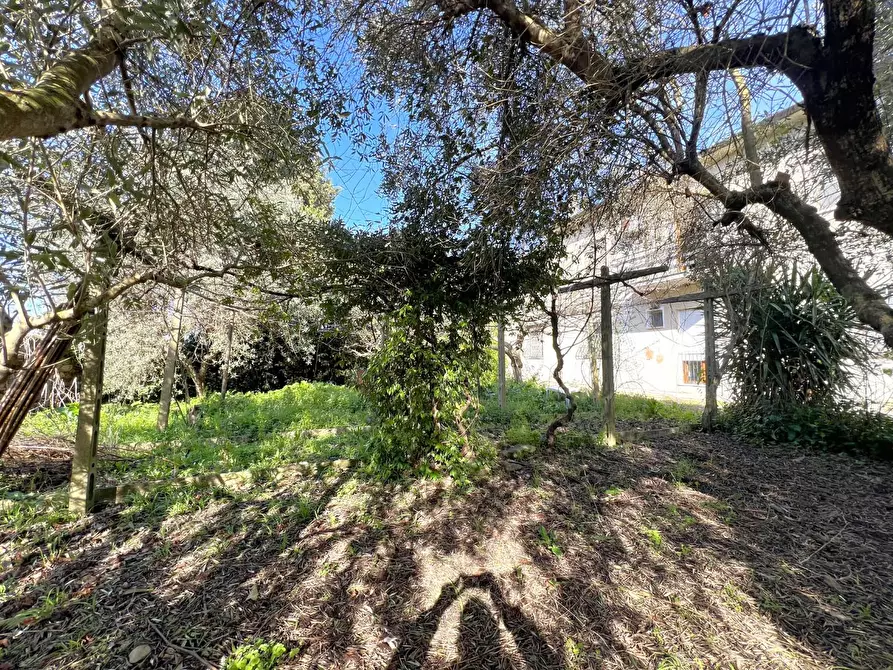 Immagine 28 di Casa bifamiliare in vendita  a Calci