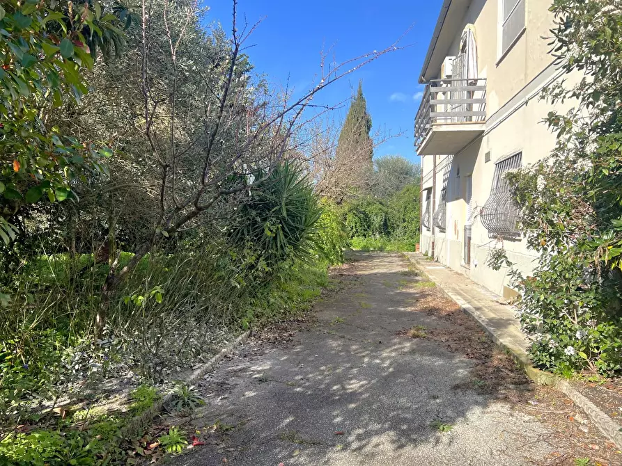 Immagine 26 di Casa bifamiliare in vendita  a Calci