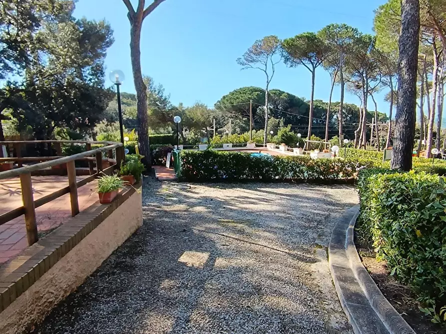 Immagine 5 di Appartamento in vendita  a Rosignano Marittimo