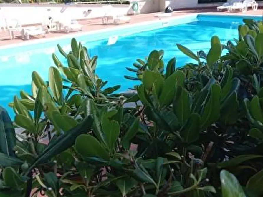 Immagine 2 di Appartamento in vendita  a Rosignano Marittimo