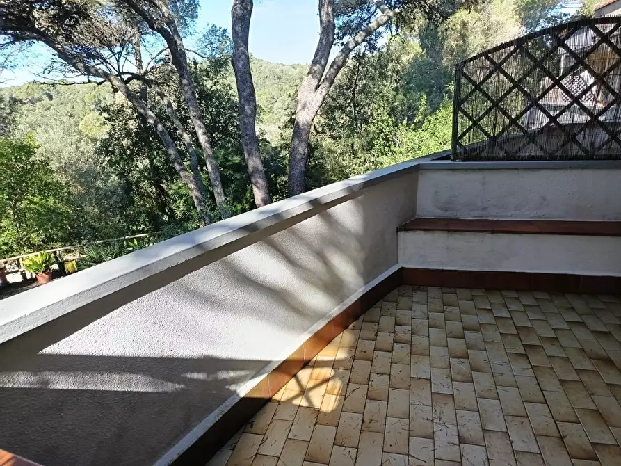 Immagine 6 di Appartamento in vendita  a Rosignano Marittimo