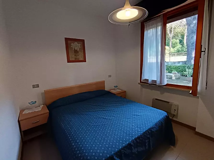 Immagine 21 di Appartamento in vendita  a Rosignano Marittimo