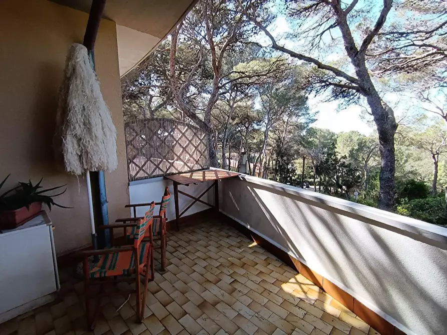 Immagine 7 di Appartamento in vendita  a Rosignano Marittimo