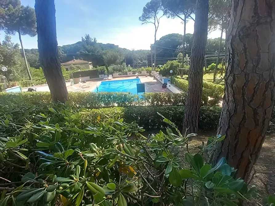 Immagine 1 di Appartamento in vendita  a Rosignano Marittimo