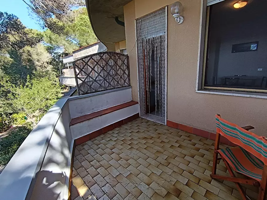 Immagine 10 di Appartamento in vendita  a Rosignano Marittimo