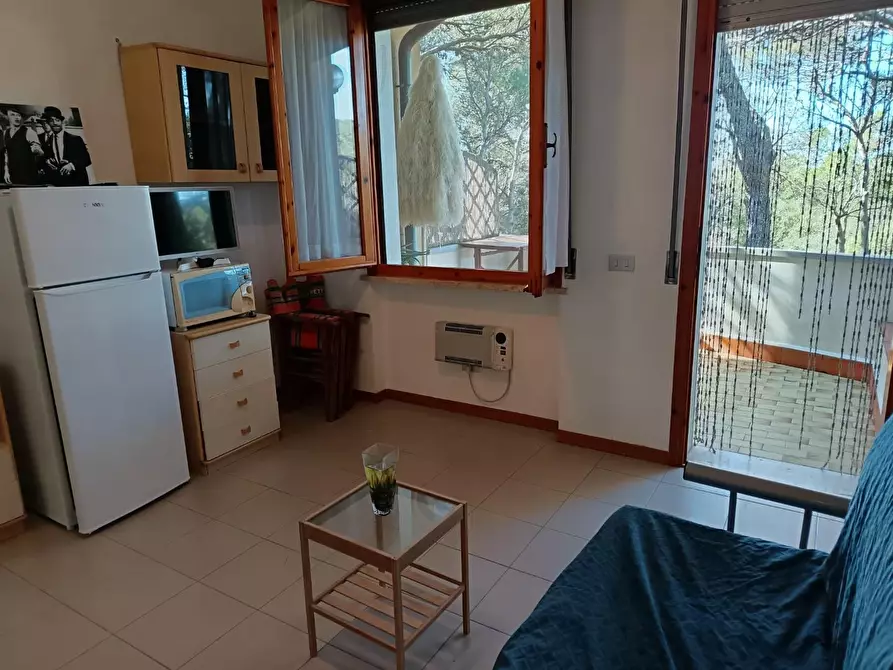 Immagine 14 di Appartamento in vendita  a Rosignano Marittimo