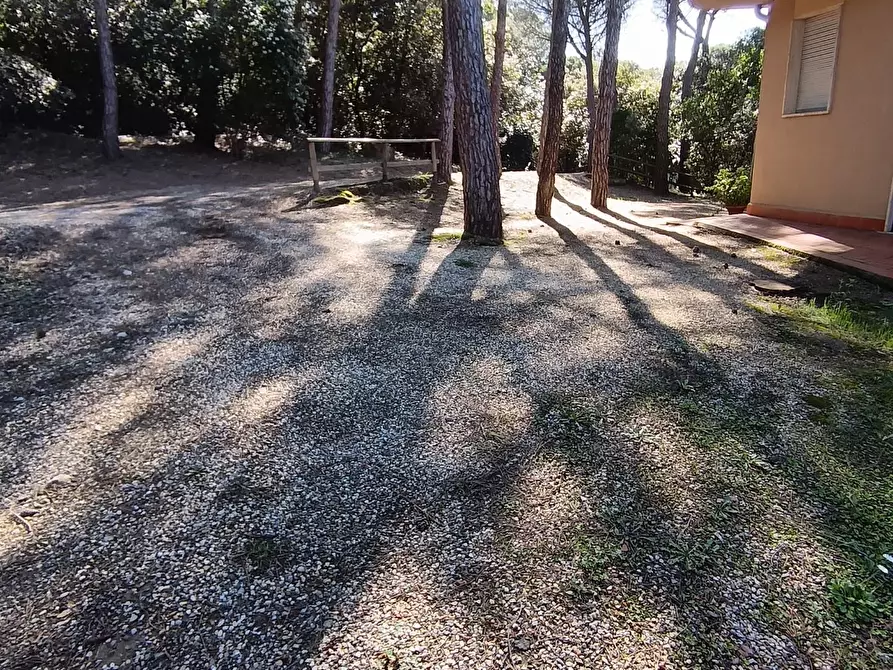 Immagine 4 di Appartamento in vendita  a Rosignano Marittimo