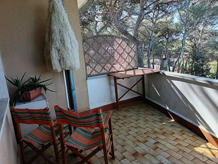 Immagine 9 di Appartamento in vendita  a Rosignano Marittimo