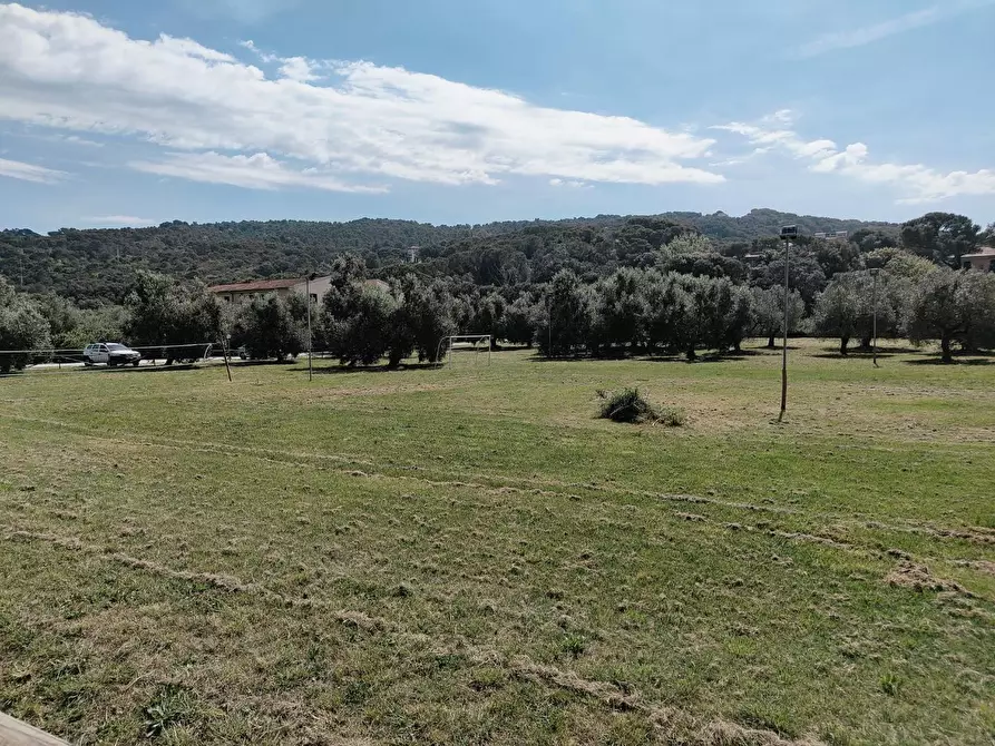 Immagine 50 di Appartamento in vendita  a Livorno