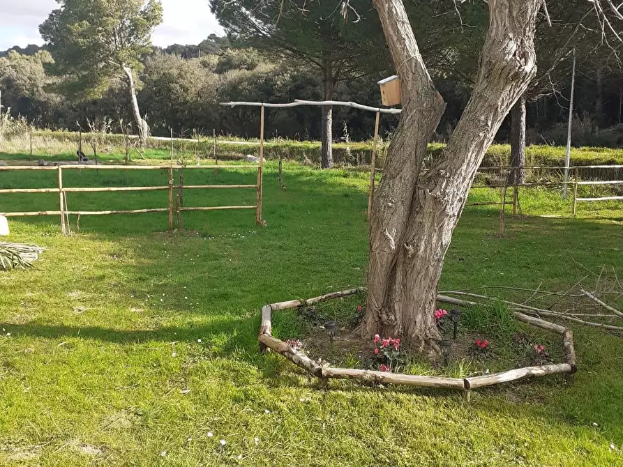 Immagine 29 di Appartamento in vendita  a Livorno