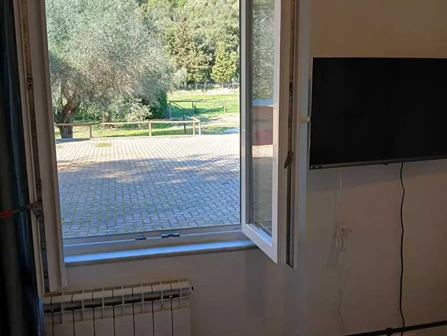 Immagine 9 di Appartamento in vendita  a Livorno