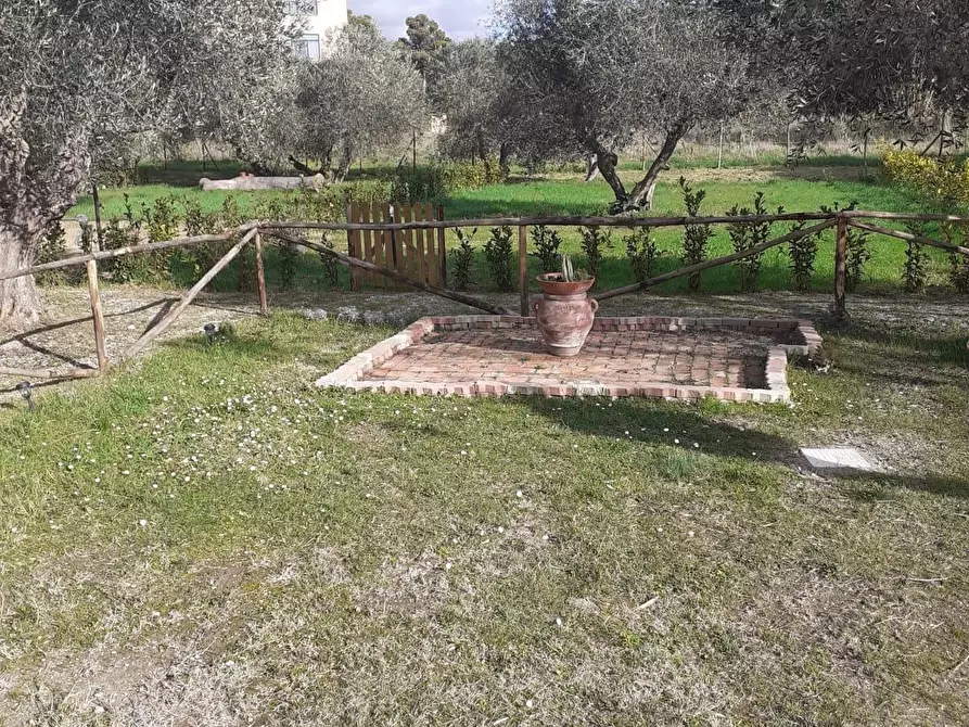 Immagine 34 di Appartamento in vendita  a Livorno