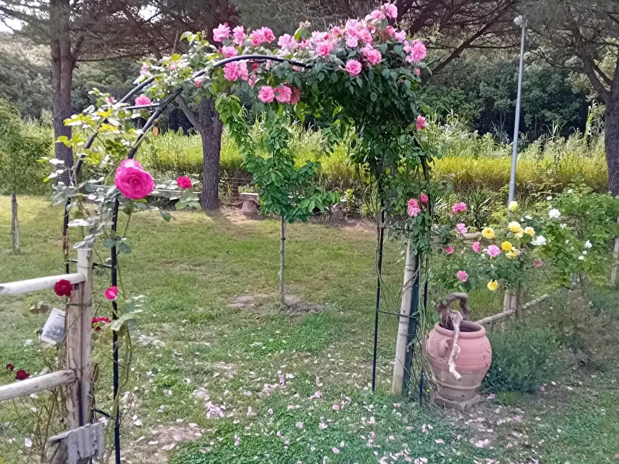 Immagine 28 di Appartamento in vendita  a Livorno