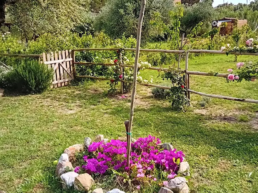 Immagine 22 di Appartamento in vendita  a Livorno